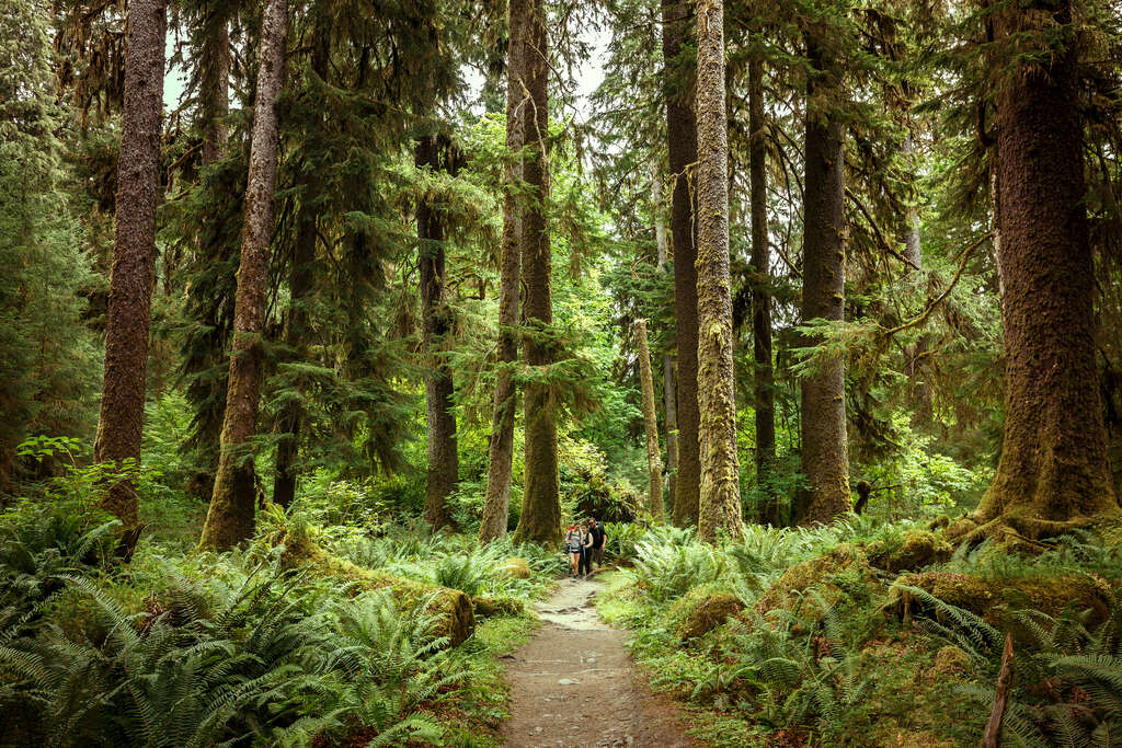 Olympic National Park