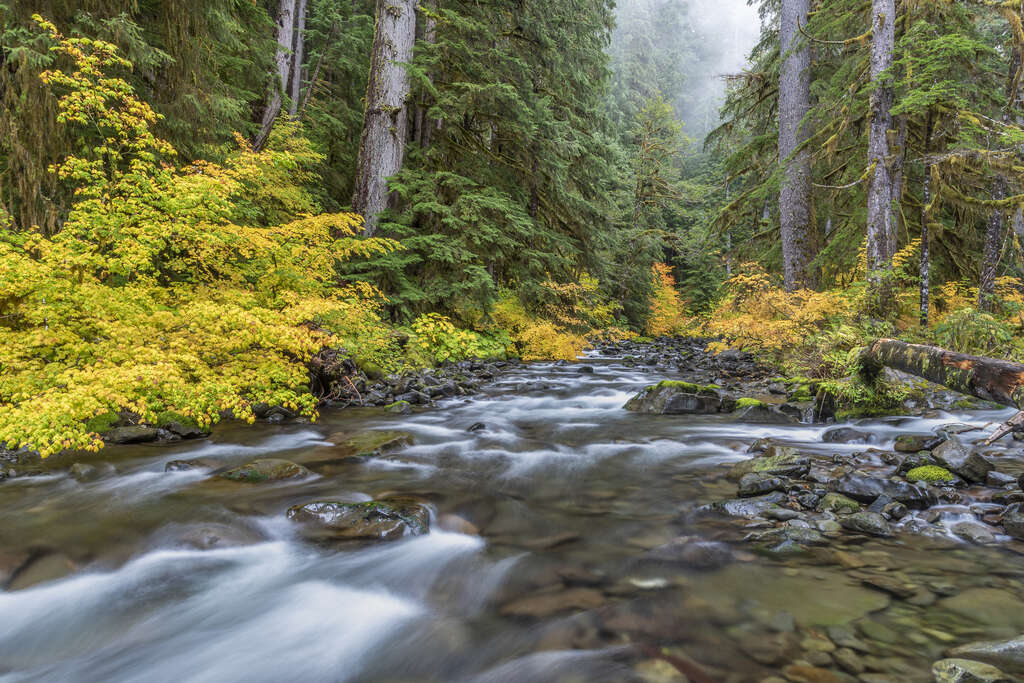 Olympic National Park