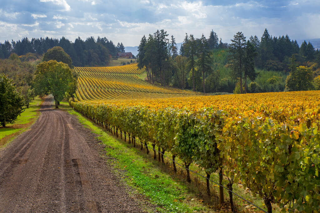 Que visiter dans l’oregon 