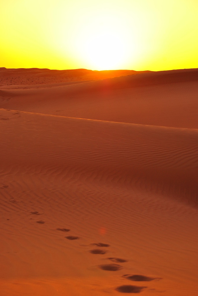 Coucher de soleil sur le désert du Wahiba Sands