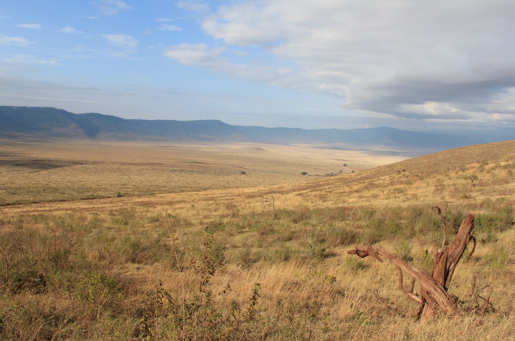 Cratère du Ngorongoro, Tanzanie 