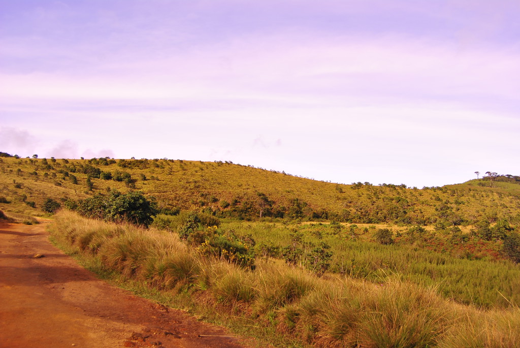 Randonnée Horton Plains, Sri Lanka