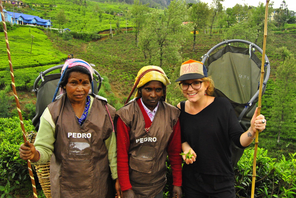 Rencontre avec les cueilleuses, Sri Lanka