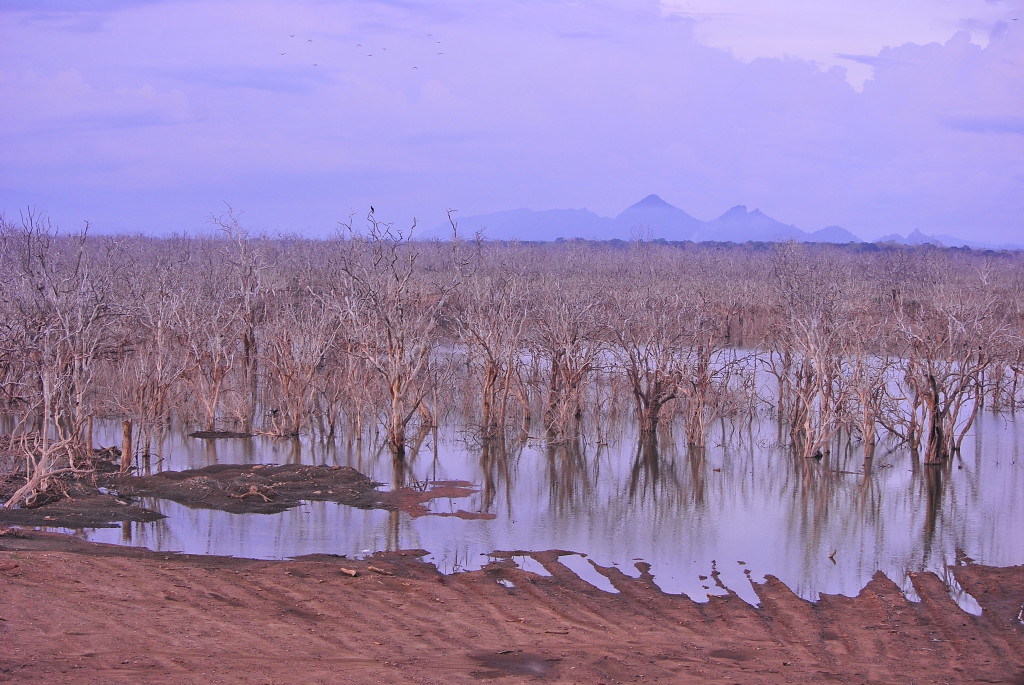 Parc National de Yala, Sri Lanka