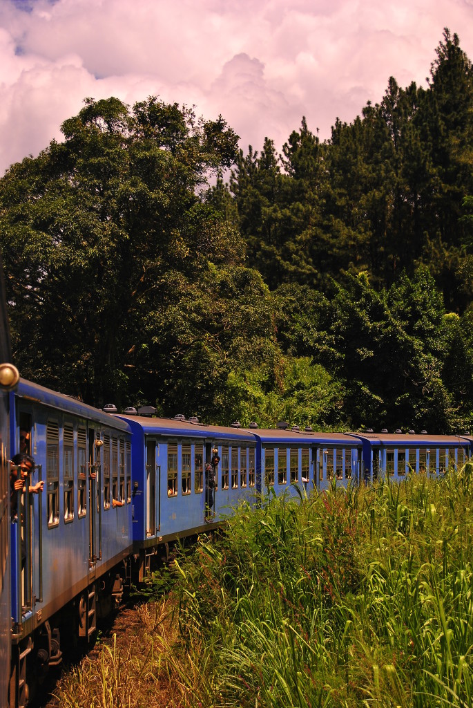 Train de Kandy à Nuwara Eliya, Sri Lanka