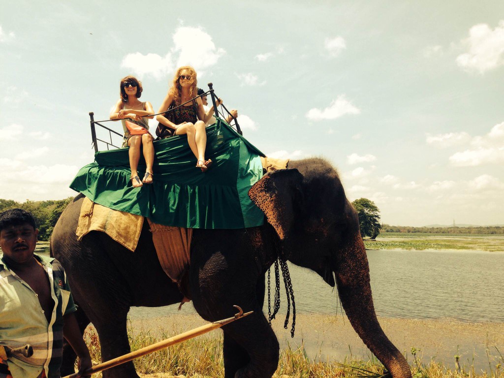 Balade à dos d'éléphant - Habaran, Sri Lanka