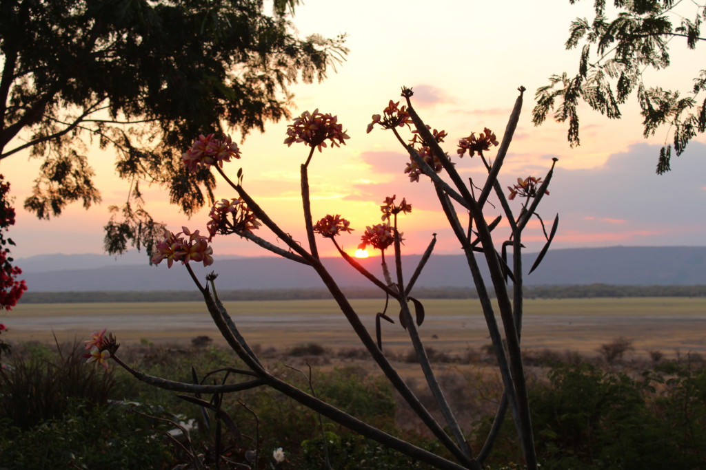 Lac Manyara, Tanzanie