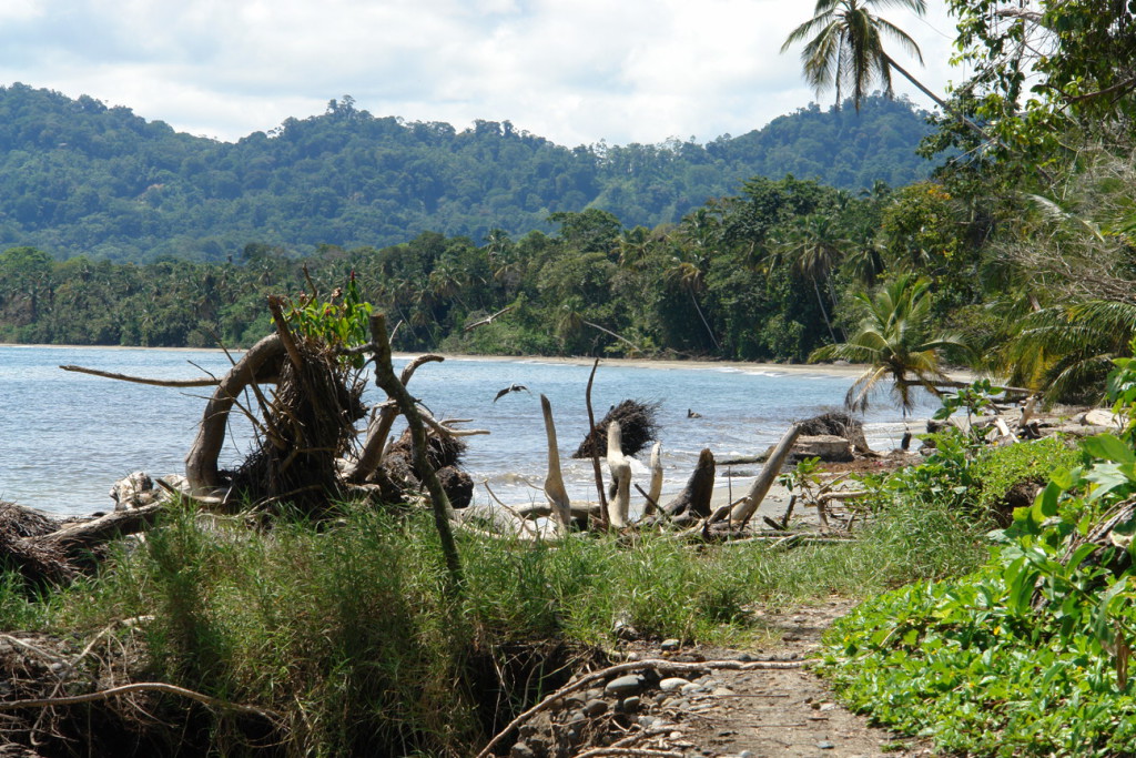 Puerto Viejo - PN de la Cahuita