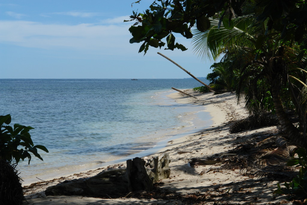 Puerto Viejo - PN de la Cahuita