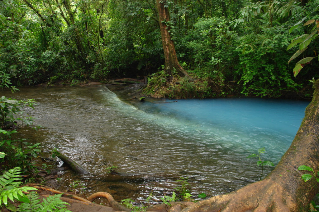 Rio Celeste Tenorio 