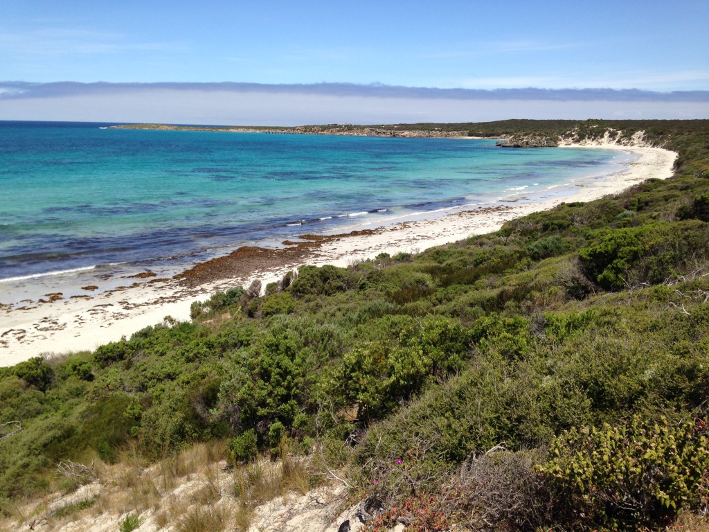 Kangaroo Island, Australie 