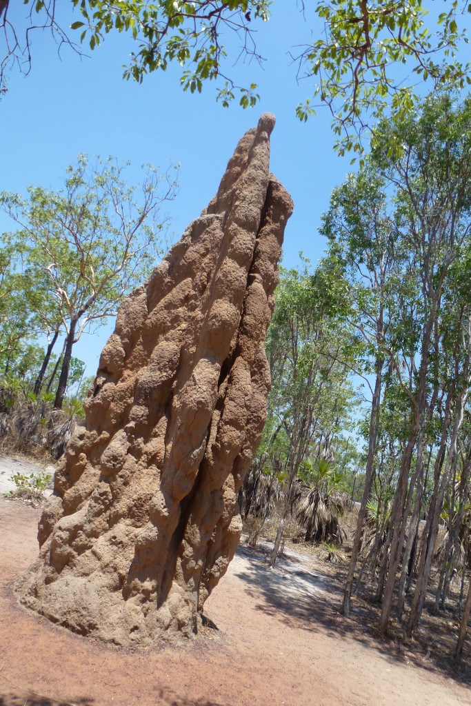 Parc National de Litchfield, Territoire du Nord, Australie