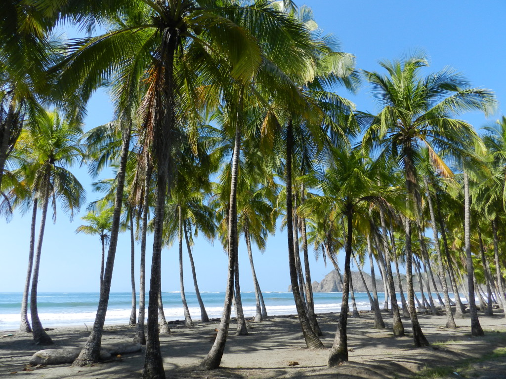 Playa Samara - Costa Rica