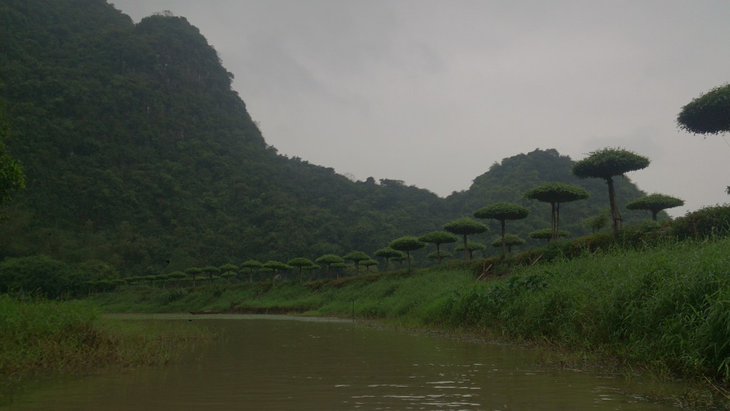 Baie d'Halong terrestre Hoa Lu 