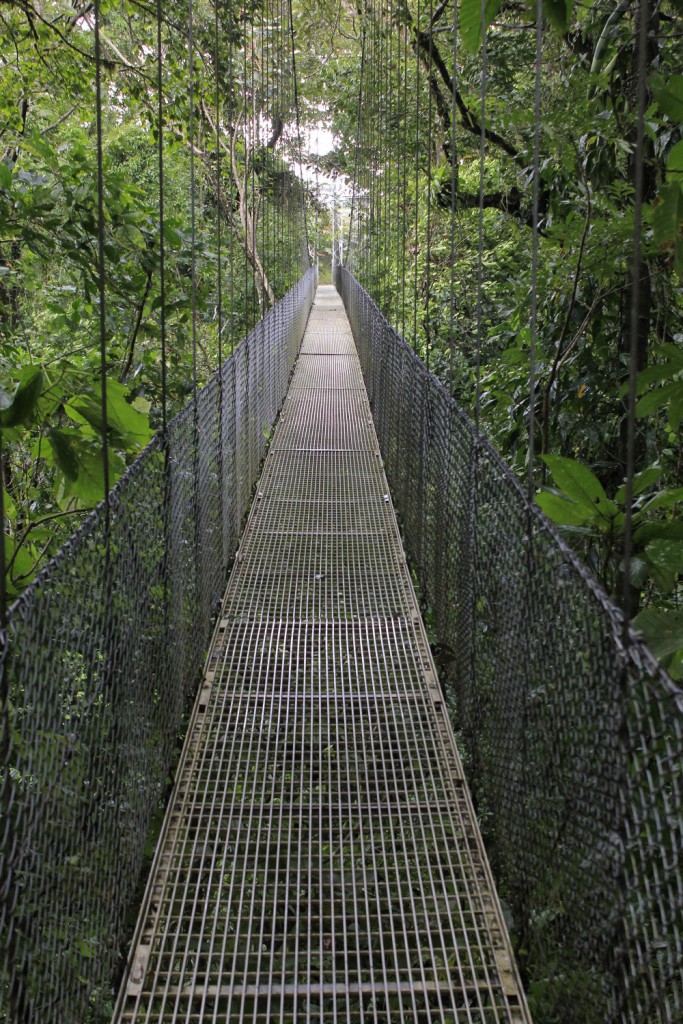 Pont suspendu - Monteverde