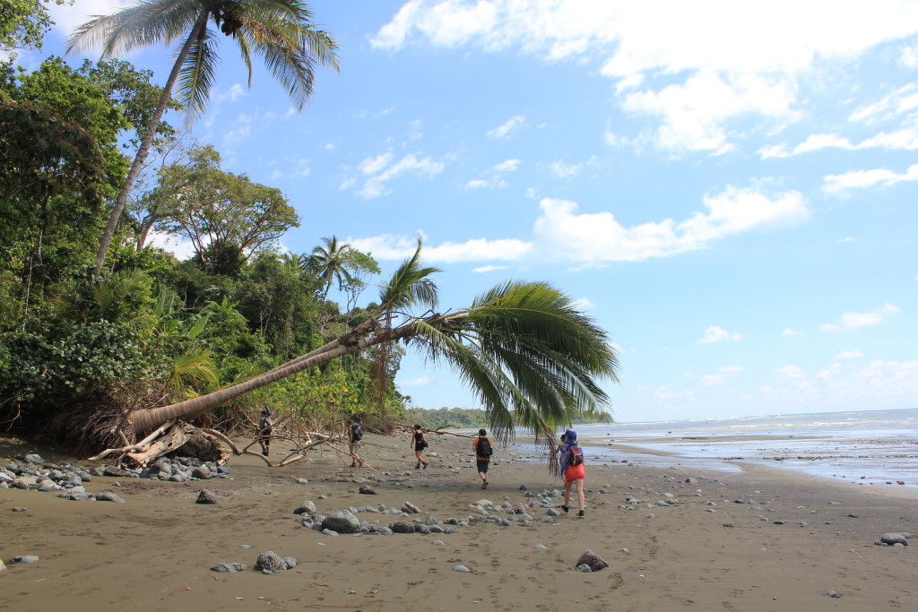 Parc National du Corcovado