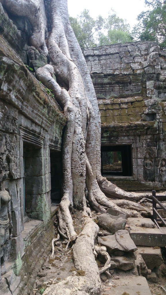 Ta prohm