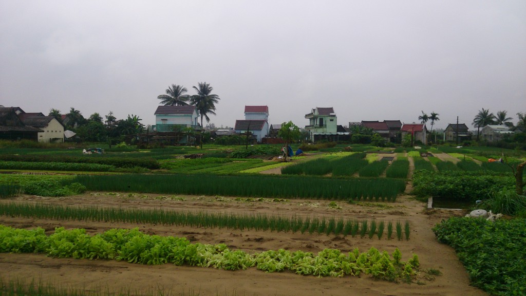 Village de legumes Tra Que