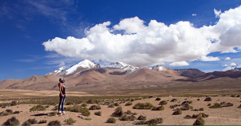 Arica - Altiplano