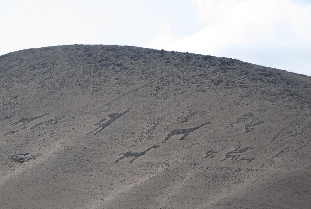 Arica - géoglyphes