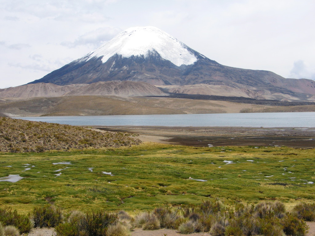 Parc de Lauca