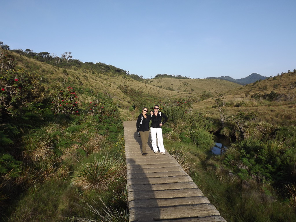 Randonnée - Horton plains, Sri Lanka