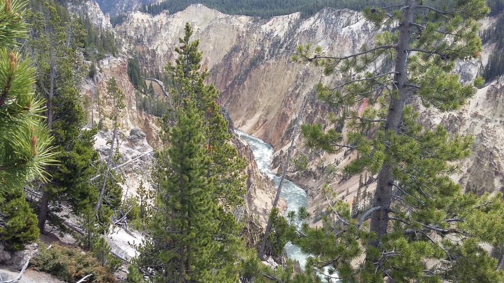 Parc National de Yellowstone