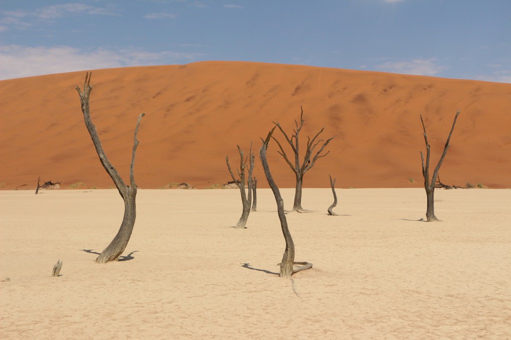 Deadvlei, Namibie 