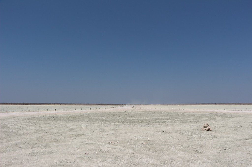 Etosha Pan, Namibie