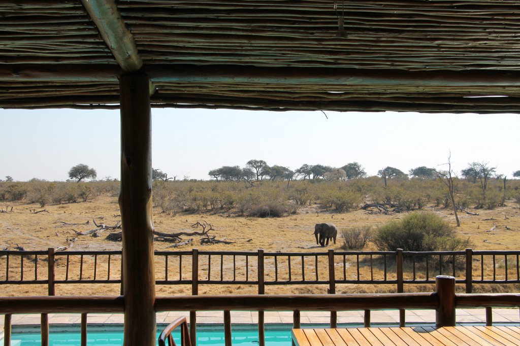 Savuti Elephant Camp - Okavango