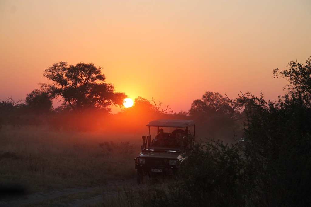 Coucher de soleil sur le Parc de Chobe