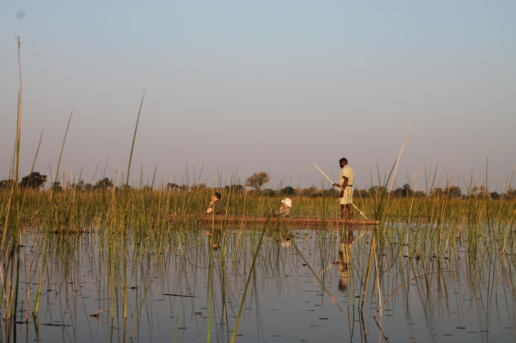 Pirogue dans le Delta de l'Okavango
