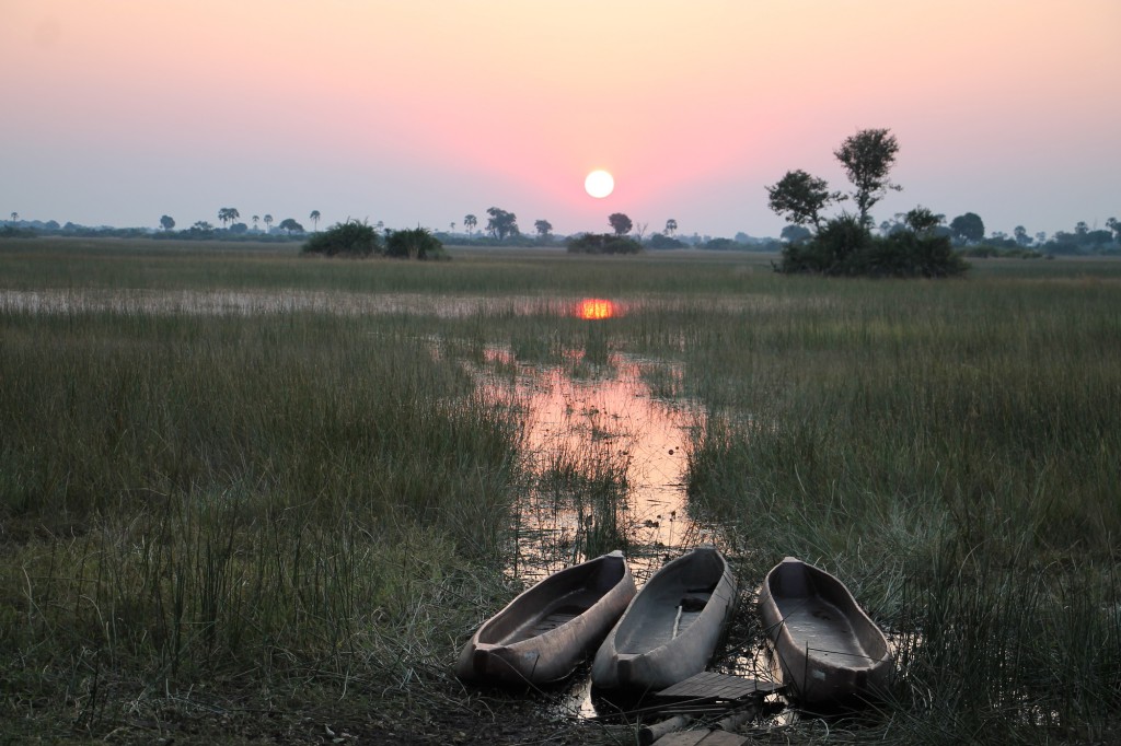 Coucher de soleil - Delta de l'Okavango