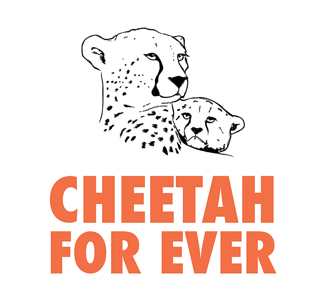 Cheetah Forever
