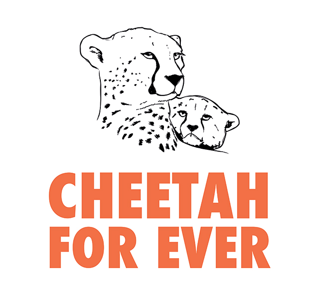 Cheetah Forever