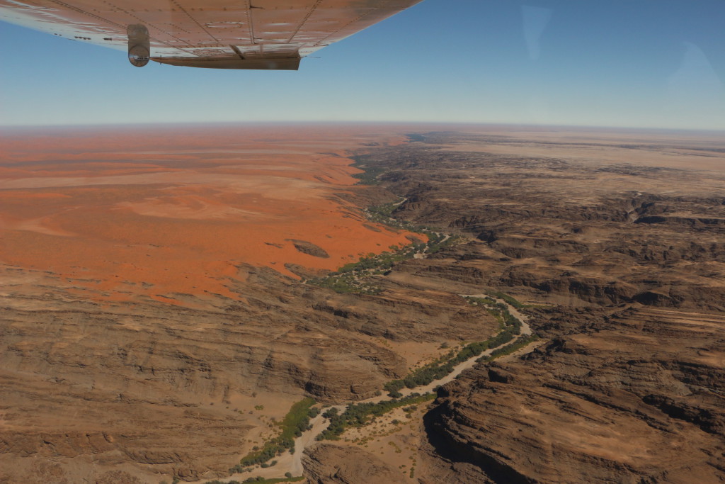 Côte namibienne