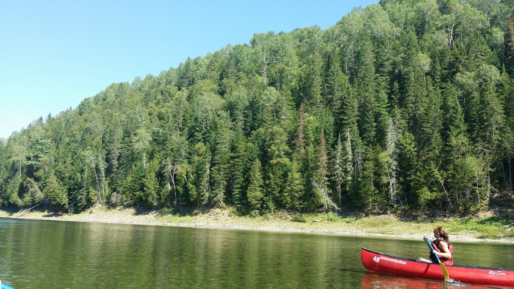 Kayak dans la Vallée de la Restigouche