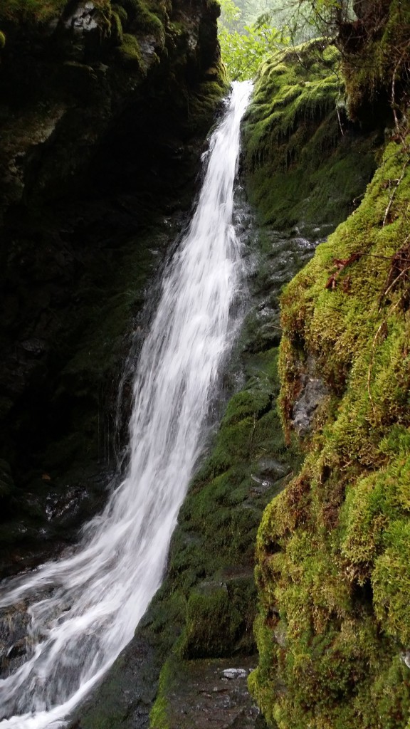 Parc National de Fundy