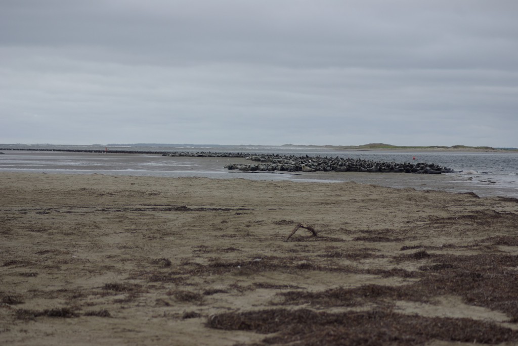 Parc National de Kouchibouguac