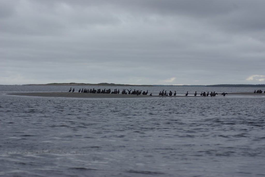 Parc National de Kouchibouguac