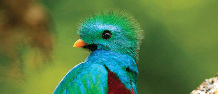 En cette semaine de COP21, voyageons plus responsable