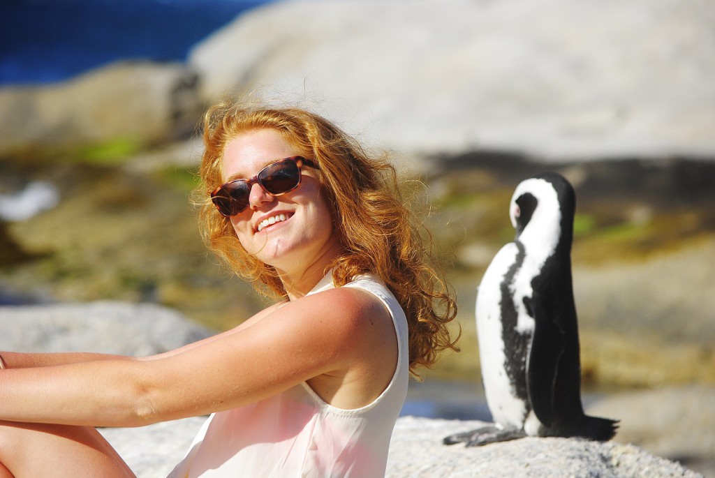 Boulders Beach, Péninsule du Cap, Afrique du Sud