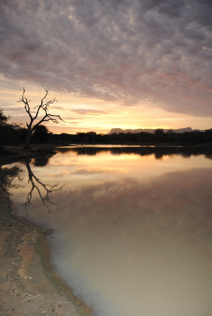 Coucher de soleil - Moditlo river lodge, Afrique du Sud