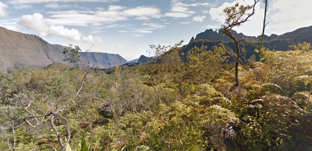 Plaine des Tamarins - Marla - Ile de la Réunion