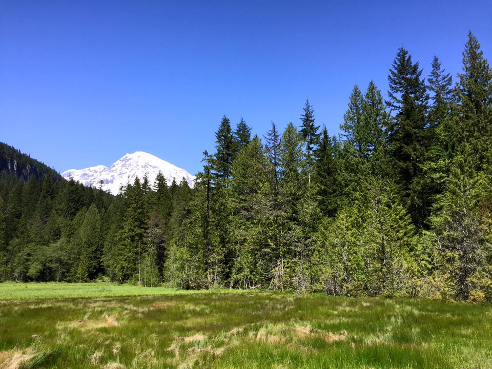 Mont Rainier - Etat de Washington