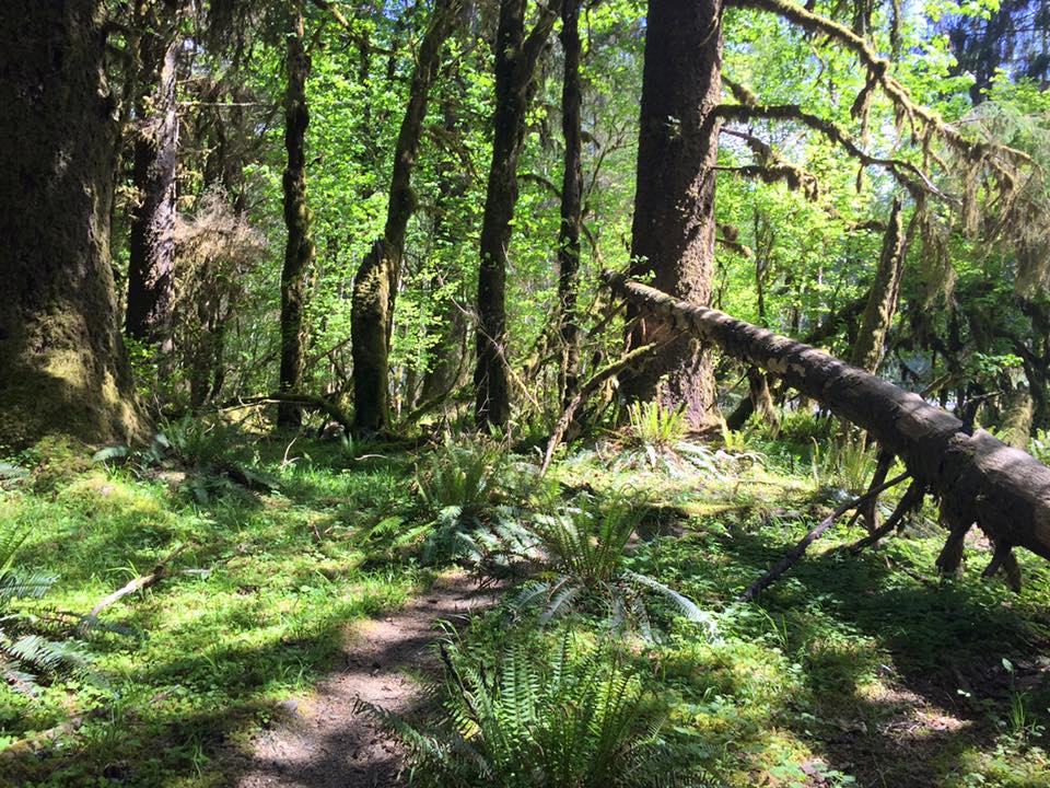 Olympic National Park