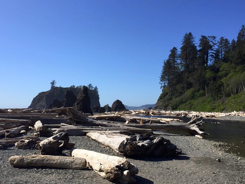 Ruby beach