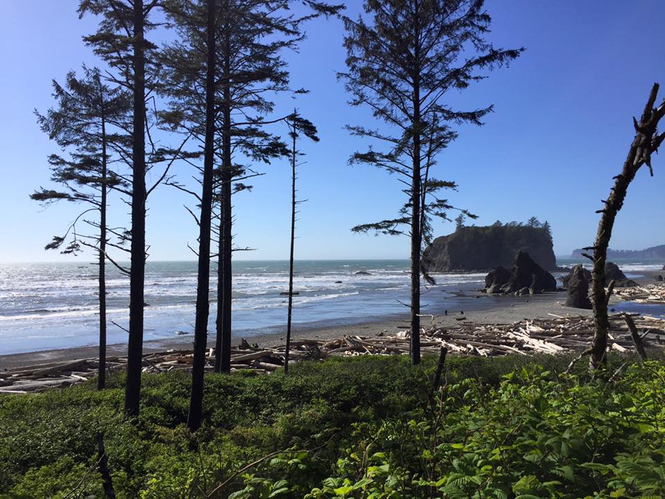 Ruby beach