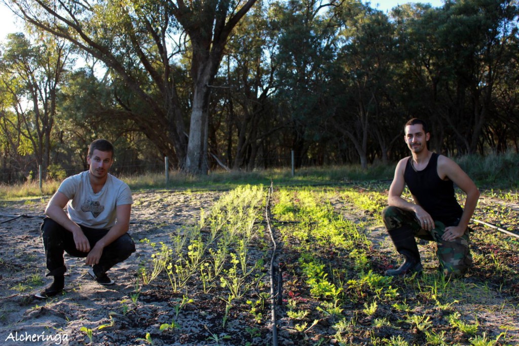 Thomas et Corenthin dans un vignoble