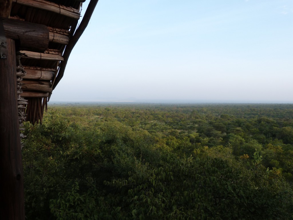 Vue de la chambre - Maweninga camp